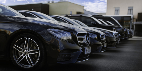Rental Cars